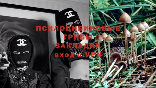 прущие крисы Михайловка