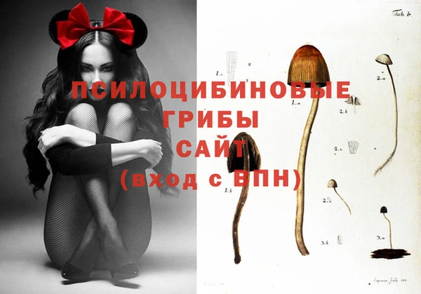 винт Наволоки