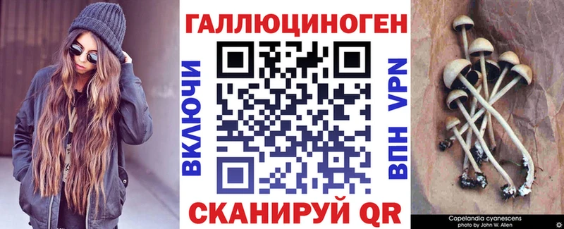 Псилоцибиновые грибы Cubensis OMG Новоузенск